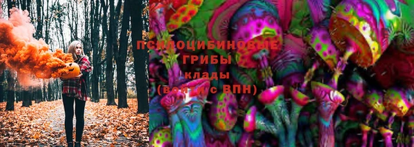 прущая мука Армянск