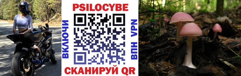купить закладку  Кирово-Чепецк  Псилоцибиновые грибы мицелий 